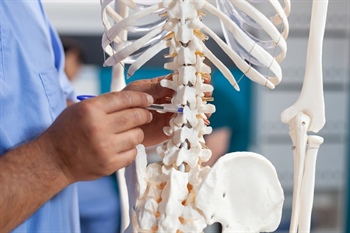 6 Things to Expect at Your First Chiropractic Appointment